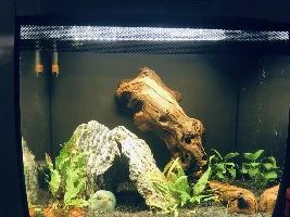 15 Gal nano