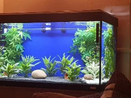 Tank design