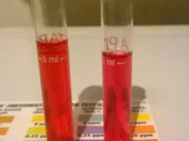 Wanted To Add Fish Tomorrow But High Nitrates!
