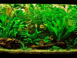 Ideas for stock?!