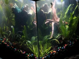 Final tank touches... sort of...