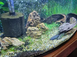 Tank cleaning
