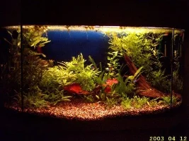29G UK