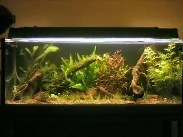 67 US gal-DIY CO2