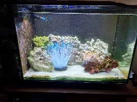 Little Slice of Ocean
