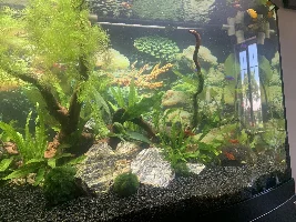 **Question of the week** | When’s the last time you did a water change?