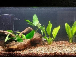 Wall-Mounted Nano Build
