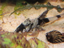 A few random pictures from the past week or so