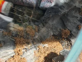 New tank.