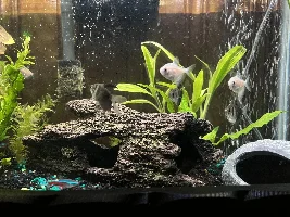 Wanted to show off my boys!