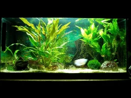 Tank Update