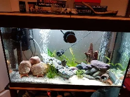 Arghhh, aquascaping!