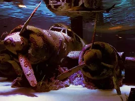 Split Substrate Tanks-what are your views? + My Sunken Plane Wreck aqua-scape idea