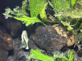 What's this?