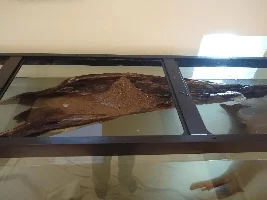 125 gallon wall-hole tank