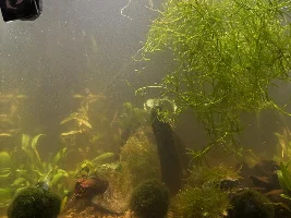 My 60L Cube