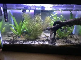 How do I get rid of this?