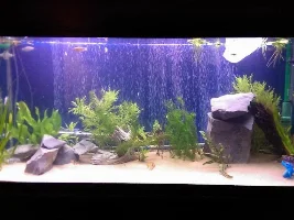 170L, Gotta Start Somewhere