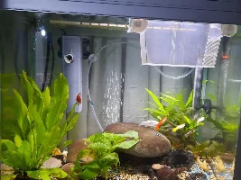 My Fish Tanks