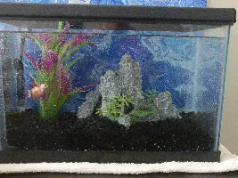 Filter for 2.5gal Suggestion
