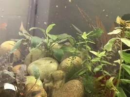 Uh oh… + cute fish photos(update!!)