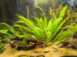 My 30G stocking