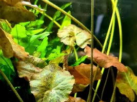 Tank untouched for 3.5 months..........Unbelievable.