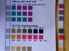 Water quality check , can anyone read this?