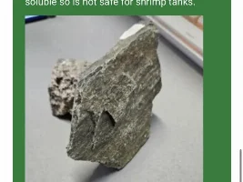 Do seriyu stones really release calcium carbonate?