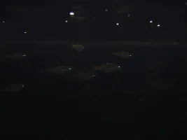 36X18X15 Planted