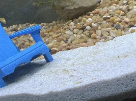Growth in tank