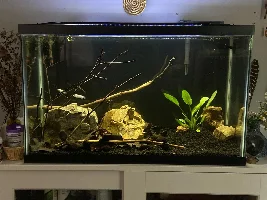Things floating in water