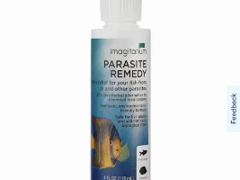 Is this product safe for scaled and scaleless fish?