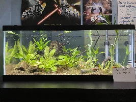 VOTE NOW - April 2024 Tank of the Month Contest (17 to 30 US gal)