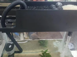 Help on a new tank