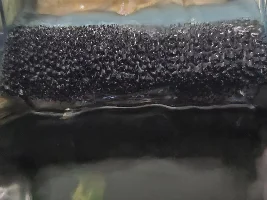 Planted 40g Aquarium Journal