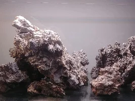 Fish Store Pictures