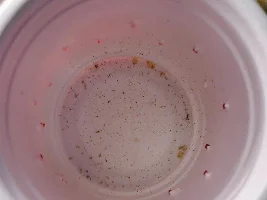 So Many Babies