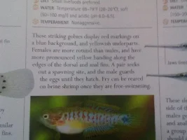 My planted freshwater journal/update thread