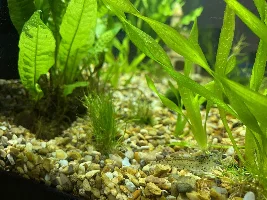 Hi from Gloucestershire UK