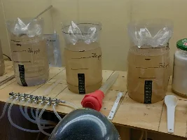 My BBS, Daphnia/Moina and Green Water Culture System