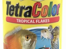 Fish rarely eat
