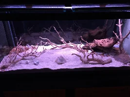 My 75 Gallon Is Started!