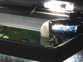 I think it's time for plan B for my Betta