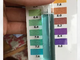 Help Reading This Ph And Loss Of Fish After Water Changes