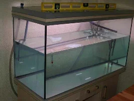 My New Tank - Be Gentle With Me I'm A Virgin Poster!