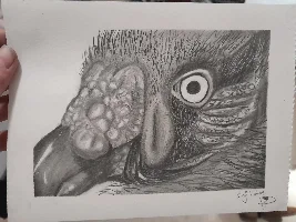 Thread for sharing art