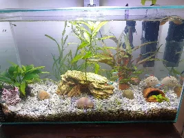 New member saying hello!