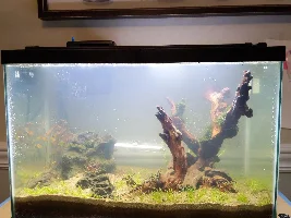 20G Ecosystem dirted offshoot from 40G thread