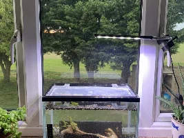No Electricity Eco Shrimp Tank